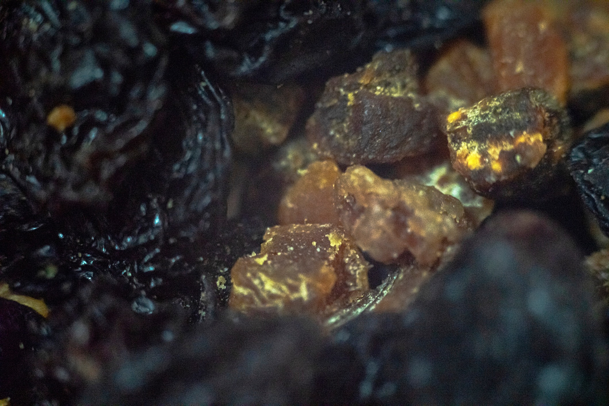 Bağışıklığı güçlendirip, yaşlanmayı da yavaşlatan süper gıda listesi. Her evde olması gerekiyor